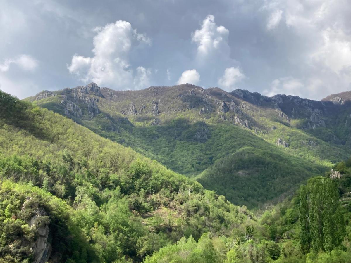 B&B Ameglia Garessio Dış mekan fotoğraf