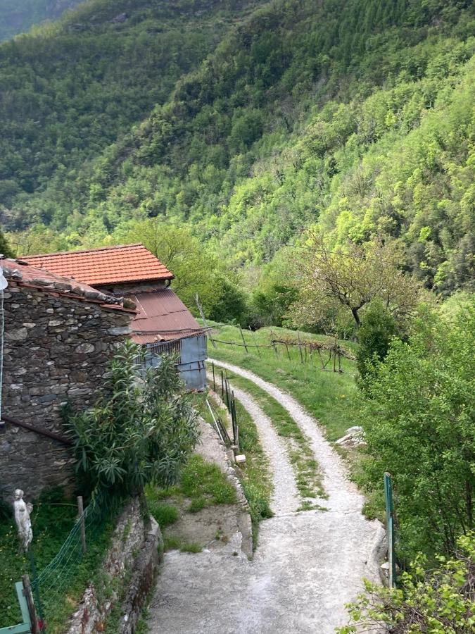 B&B Ameglia Garessio Dış mekan fotoğraf